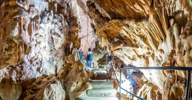 Экскурсии в Скельская пещера из Николаевки 2024